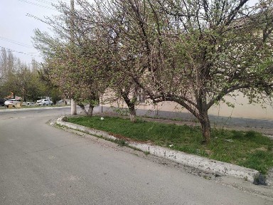 Kotta yol yuzida Shofayz mostda uy sotiladi
