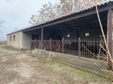 Самаркандская область, Пайшанба