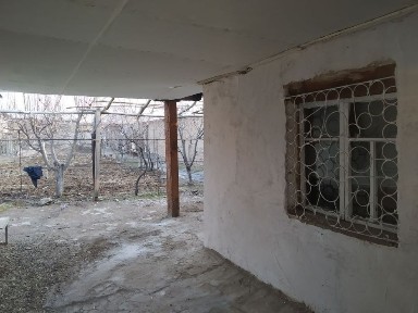 Dacha sotiladii