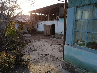 Ташкентская область, Нурафшан (Тойтепа)