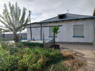 Ташкентская область, Чиназ