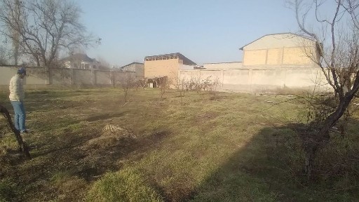 Hovli 16 sotix krestikda joylashgan