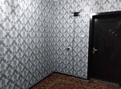 Сергели. Уц сотилади. СРОЧНО