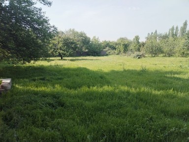 Ташкентская область, Ангрен