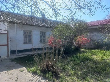 Дом в плем. совхозе (Карасу)