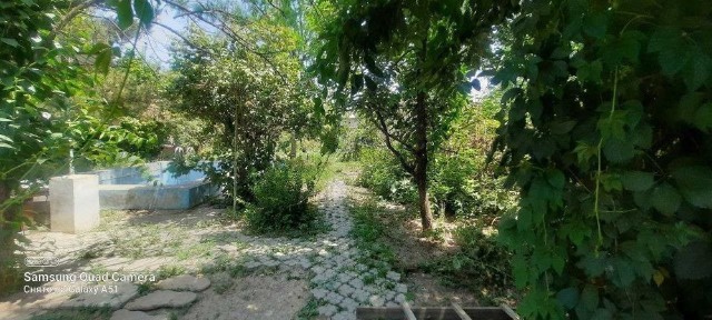 Dacha sotiladi, Nazarbekda