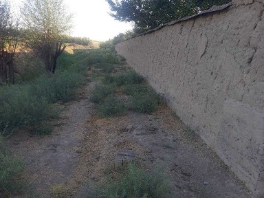 Ташкентская область, Назарбек