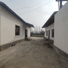 Ташкентская область, Нурафшан (Тойтепа)