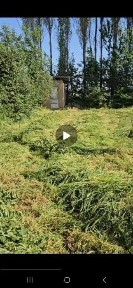 Ташкентская область, Янгибазар