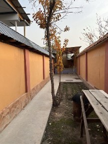 Ташкентская область, Мирабад