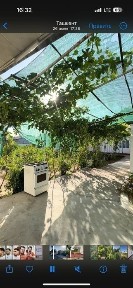 Ташкентская область, Янгиюль