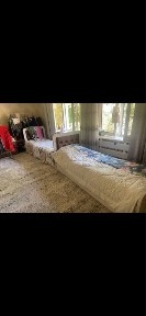 Drujba, qoratoshda faqat qizlar uchun