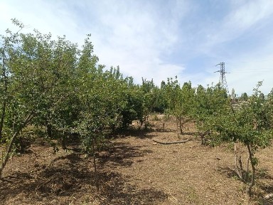 Каракалпакстан, Нукус