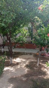 Катедж 2 сотихли сотилади
