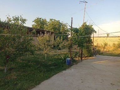 Ташкентская область, Янгибазар