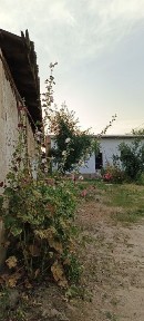 Ташкентская область, Эшангузар