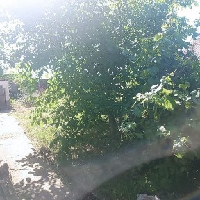 Срочно продаётся дом