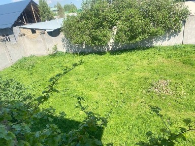 Ташкентская область, Ташкент, Бектемирский район