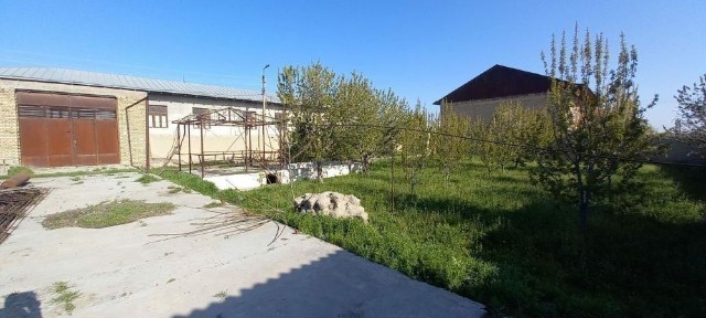 Недвижимость Учас