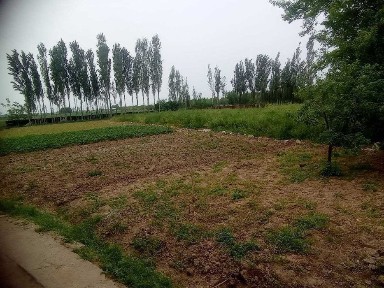 Uy sotiladi yaxshi joydan