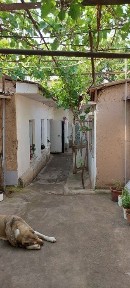 Ташкентская область, Ташкент, Яшнабадский район