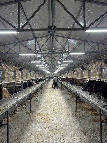 Ташкентская область, Зангиата