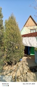 Ташкентская область, Алмалык