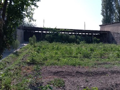 Ташкентская область, Ташморе