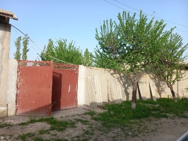 Ташкентская область, Янгиюль