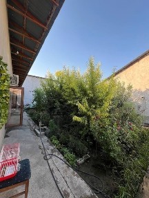Ташкентская область, Зангиата