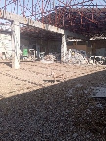 Продаётся зем участок с домом 12,4 Кибрай 4,5 км от ТТЗ, Корзинка.
