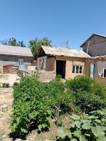 Ташкентская область, Паркент