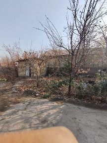 Ташкентская область, Ташморе