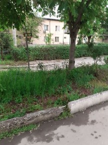 Ташкентская область, Ташкент, Сергелийский район