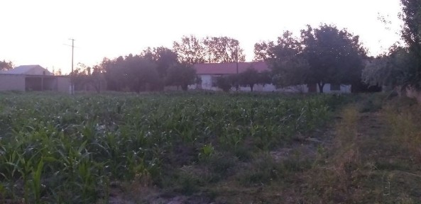 Самаркандская область, Булунгур
