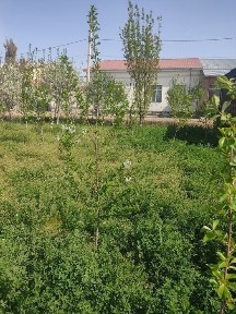 Продам коттедж 6сотих