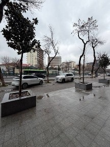 Улица Шота Руставели Жк 