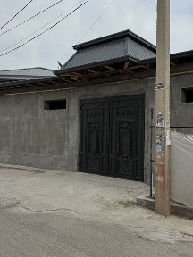 Ипакчилик. Гулзордаги Колани оркаси