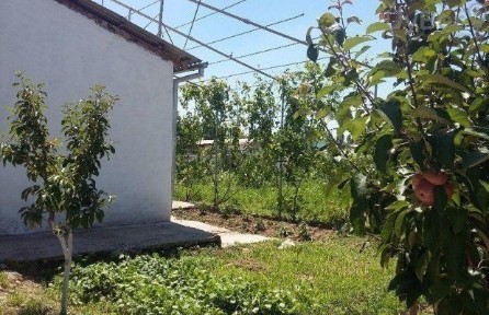 Ташкентская область, Ташкент, Чиланзарский район