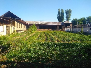 O'rtachirchiq tumani Qorasuvda uchastka xovli sotiladi