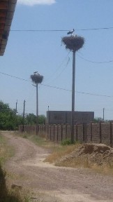 Toshkent viloyati, Piskent tumani, Lolaariq MFY, Rohatbush shaharchasi