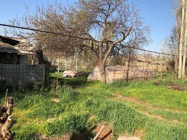 Yer sotiladi toytepada, dacha 25sotx