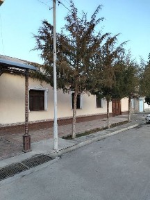 Джума Амир Темур куча 31 уй