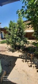 Келес Оқибат 3тор куча 39