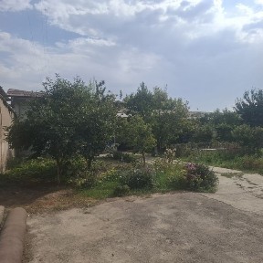 Aniq olish niyati borla iloji bo'lsa telefon qisin