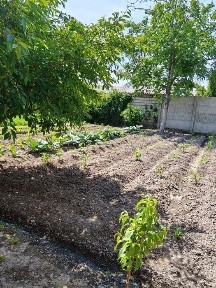 Продается дом. Участок 8 соток. Дом 100².