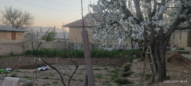 Уй сотилади кизил сув