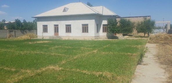 Самаркандская область, Самарканд