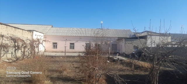 Бухарская область, Бухара