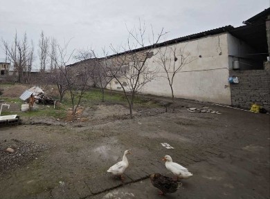 Тошкент ш., Янгихаёт тумани, Чорток махалласида 3 сотих уй сотилади